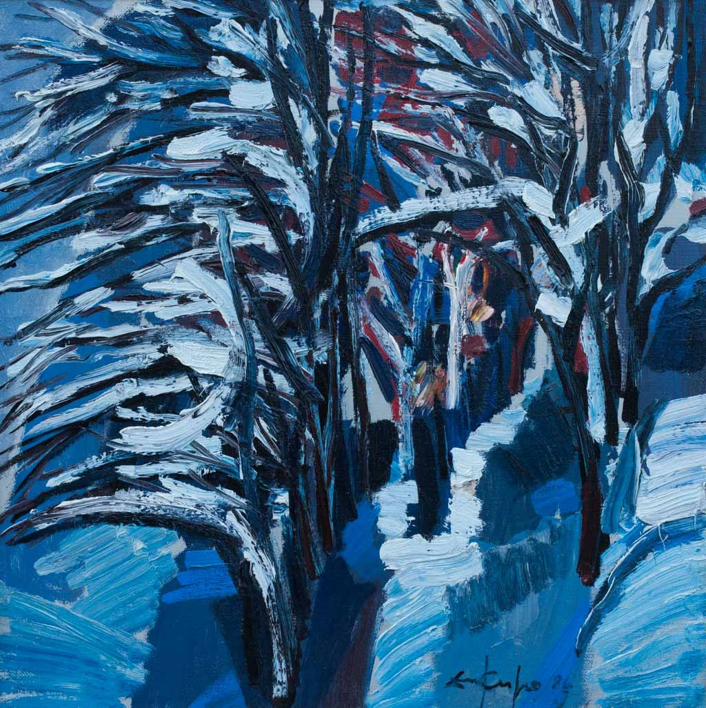 Зима, Димитър Киров