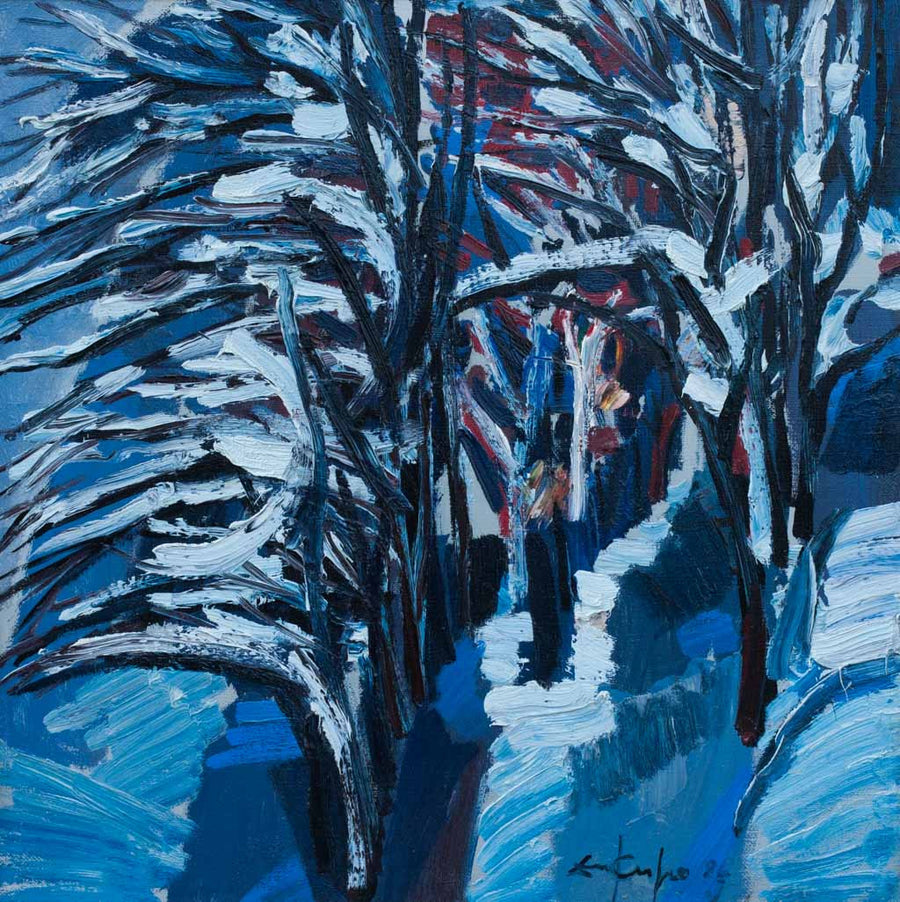 Зима, Димитър Киров