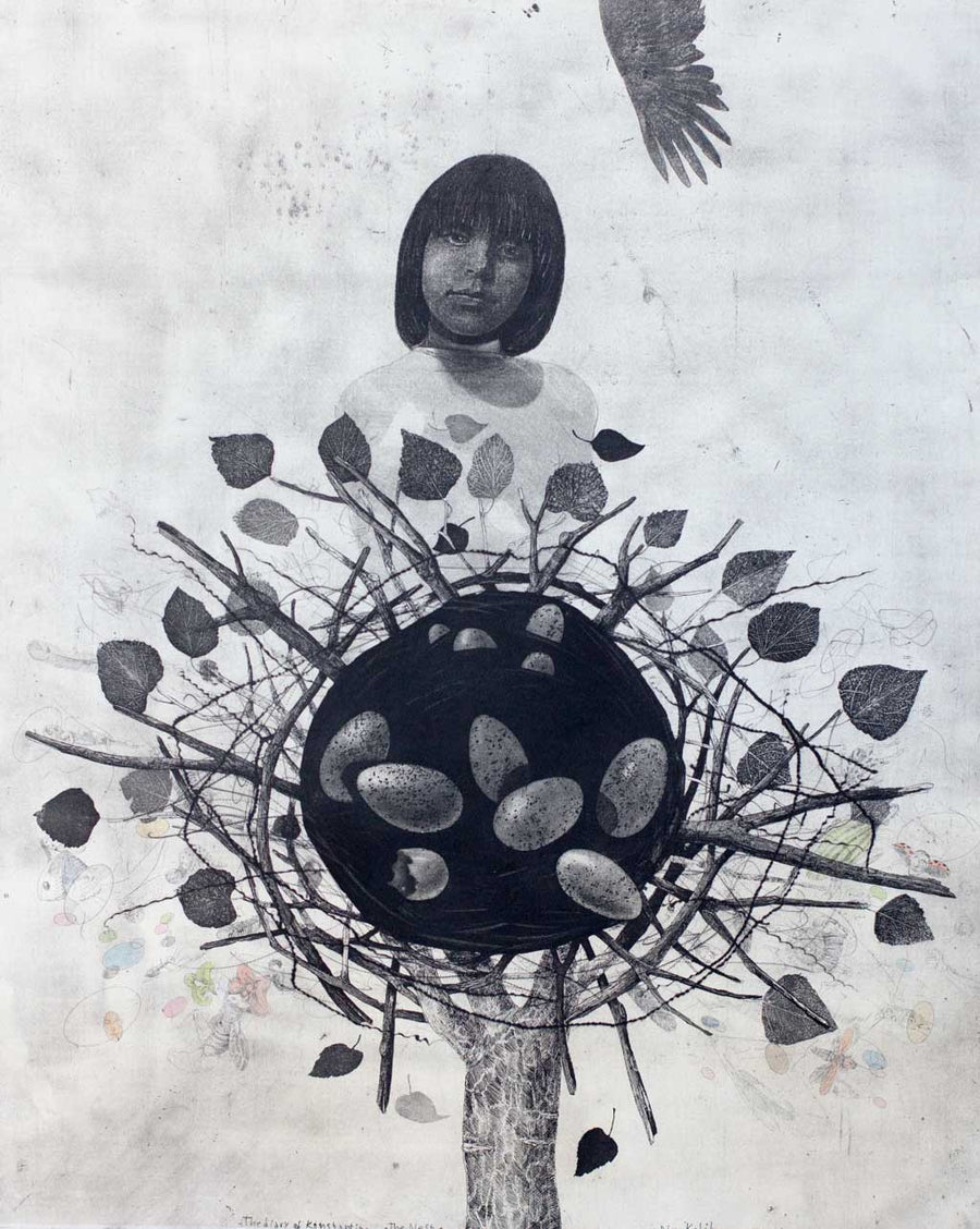 Гнездото - Дневниците на Константин, Димо Колибаров