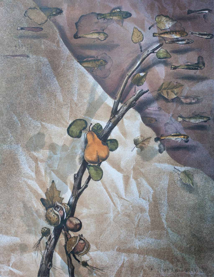 Първият ден на есента, Димо Колибаров