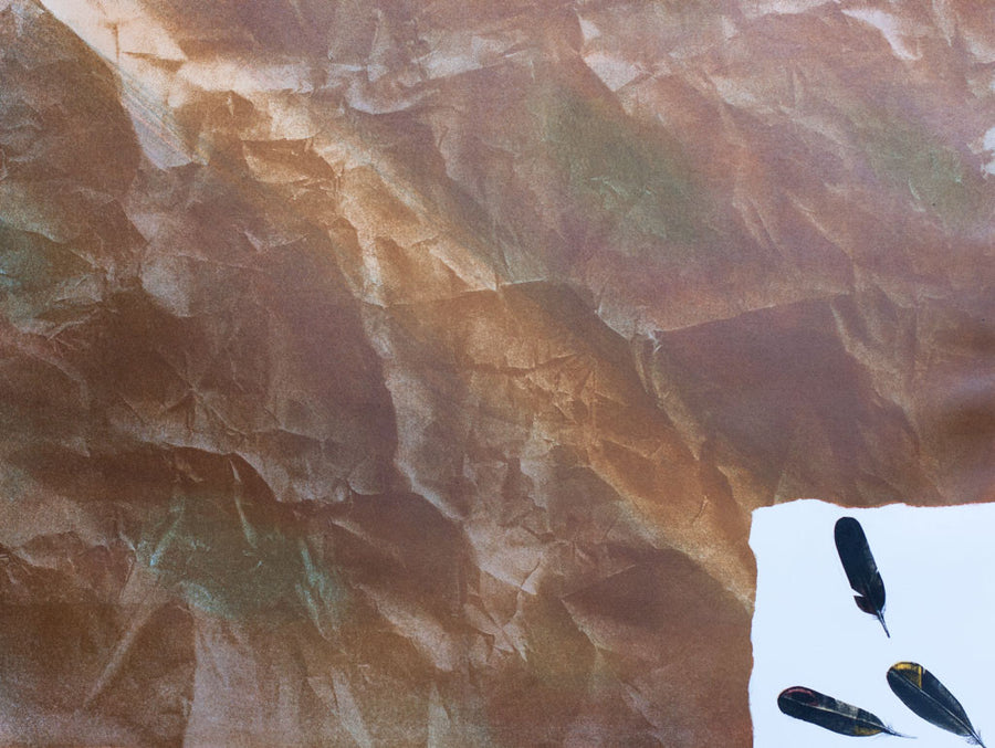 Лъчът - Икар, Димо Колибаров