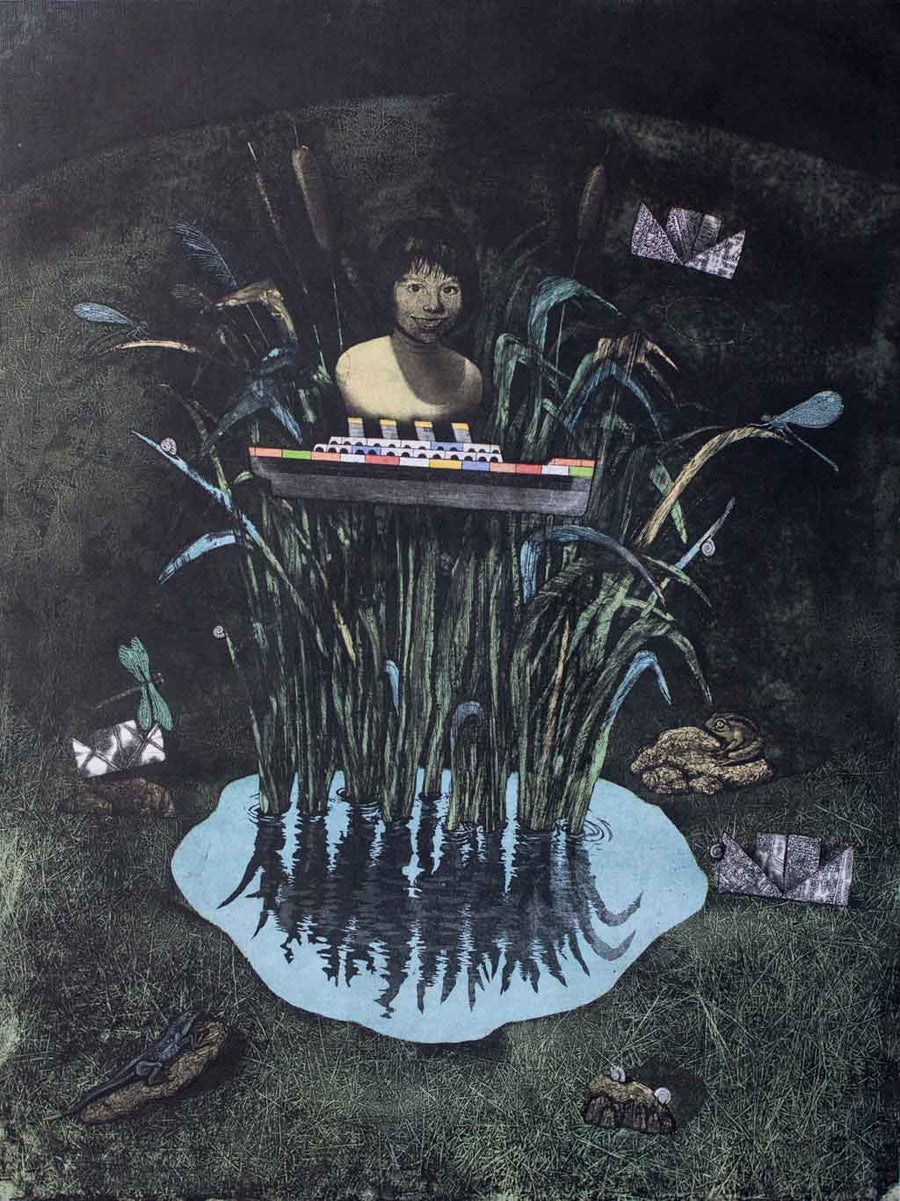 Локвата - Дневниците на Константин, Димо Колибаров