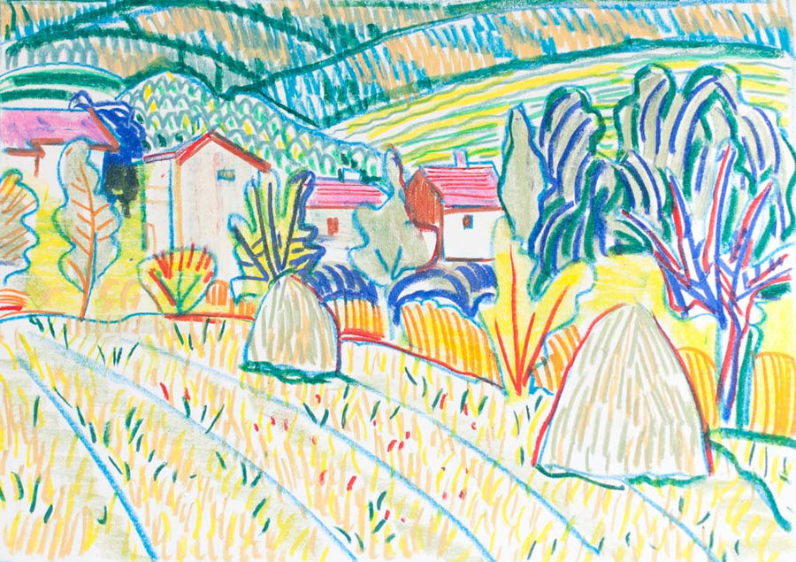 Своге, Драган Немцов