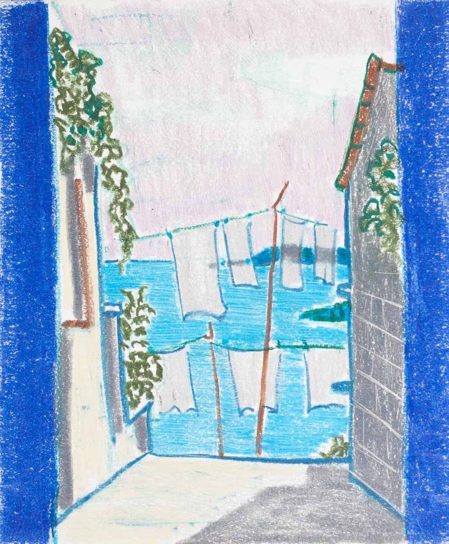 Созопол - прането, Драган Немцов