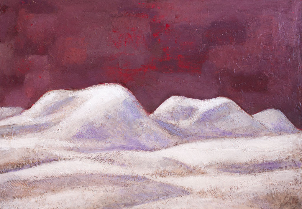 Зимни терени