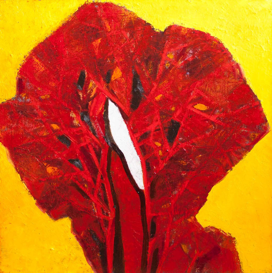 Условни моменти 2, Генчо Денчев