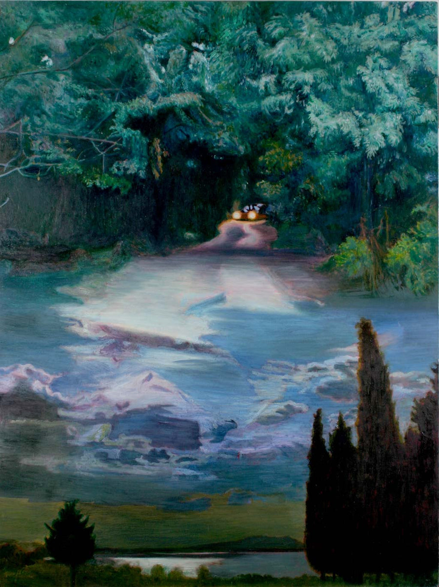 На седмата гора, Христо Кърджилов