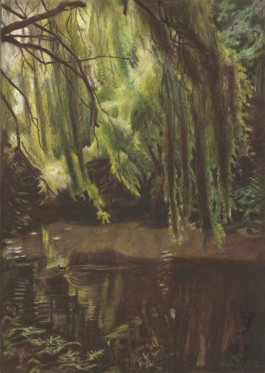 Отражения, Христо Кърджилов