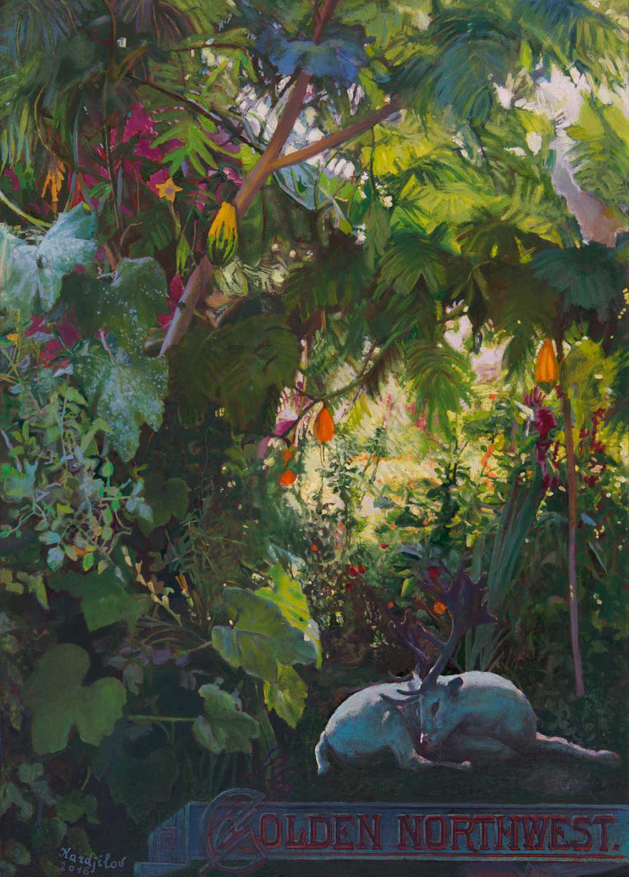 Златен Северозапад, Христо Кърджилов