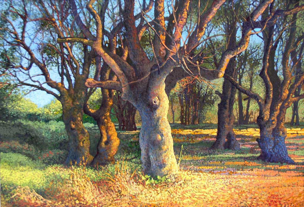 Гора край морето, Иван Стратиев