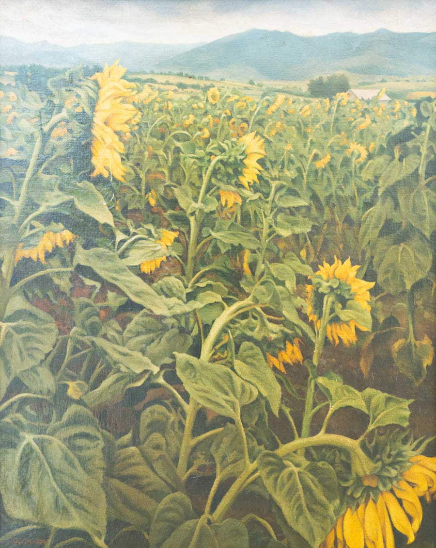 Слънчогледи, Лъчезар Ошавков