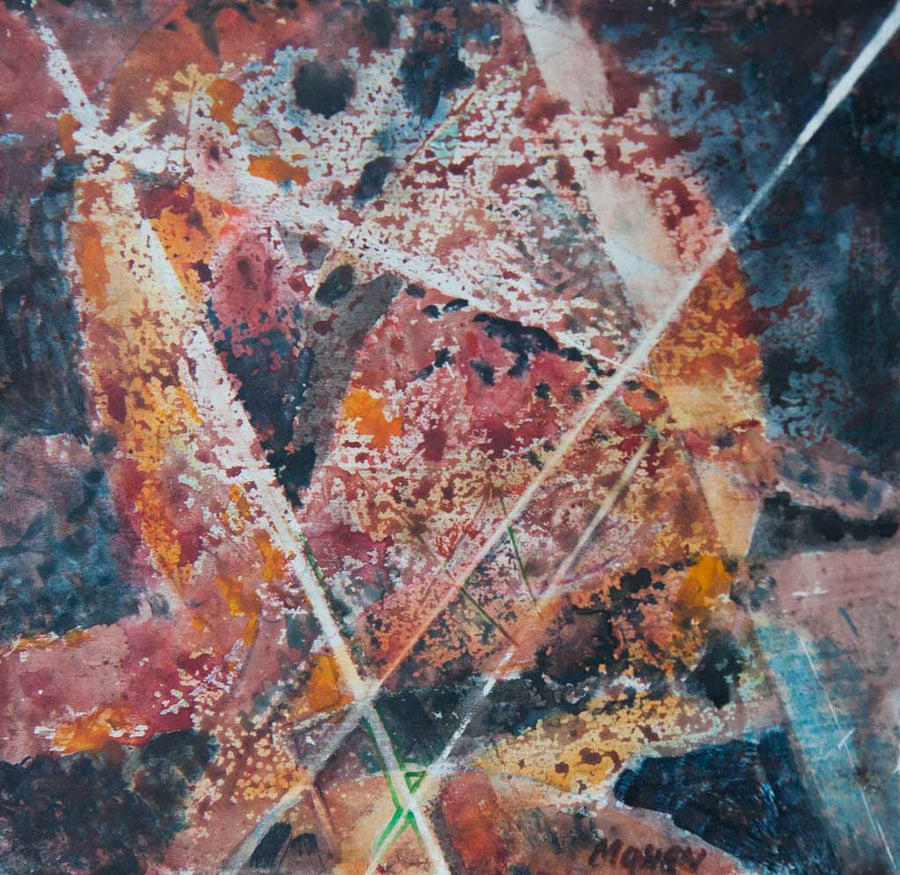 Отражение, Никола Манев