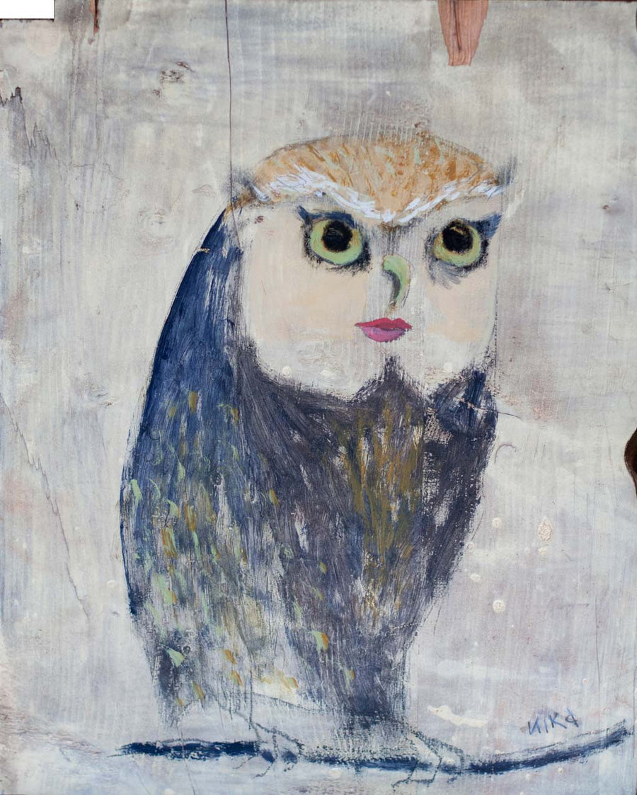 Госпожица Сова, Николай Димчевски