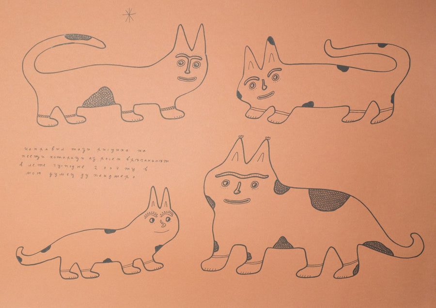 Без заглавие, Росен Рашев