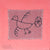Розовият птицосамолет