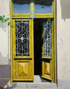 Вратата IV, Стефан Янев