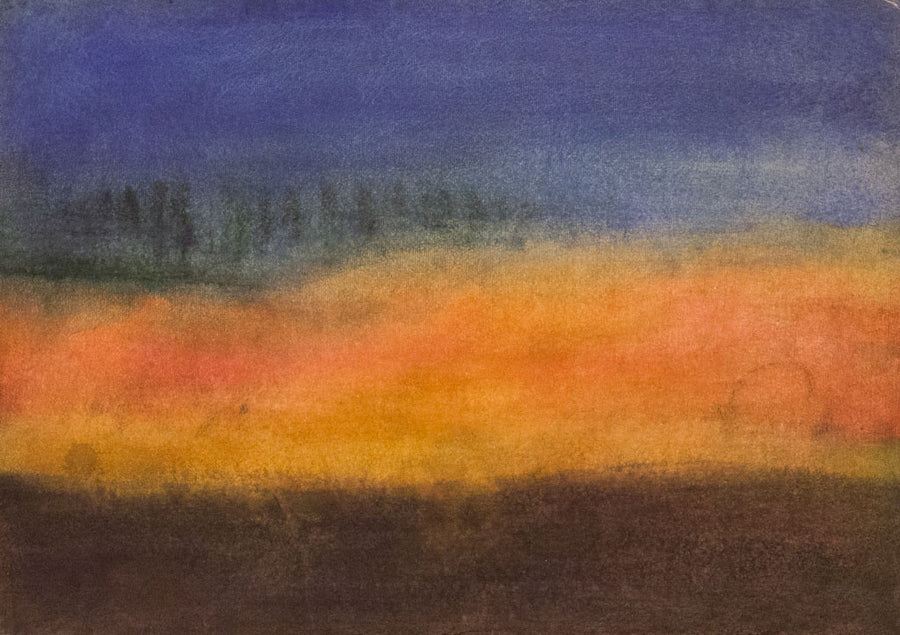 Мотиви от Унгария 3, Цани Цанев