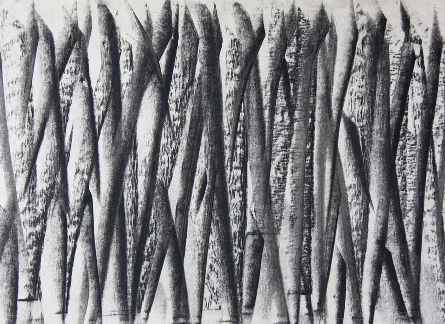 Композиция 15, Васил Иванов