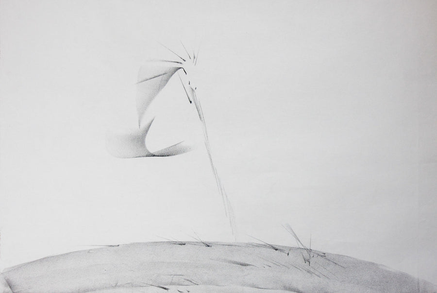 Композиция 4, Васил Иванов