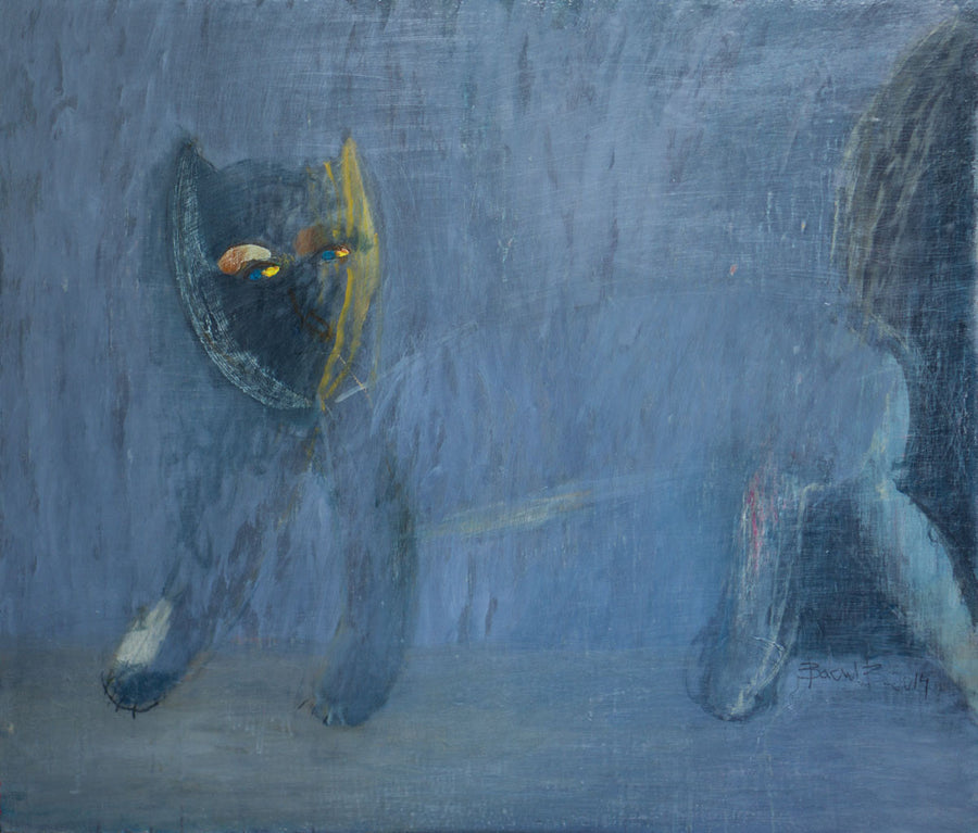 Котарак, Васил Василев