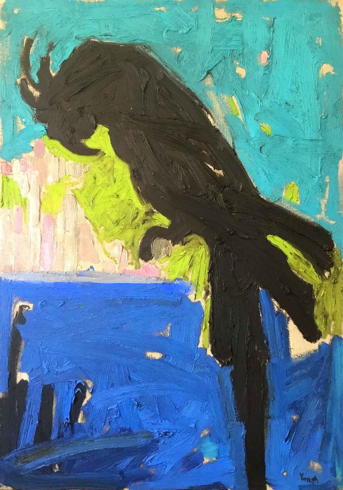 Черен папагал