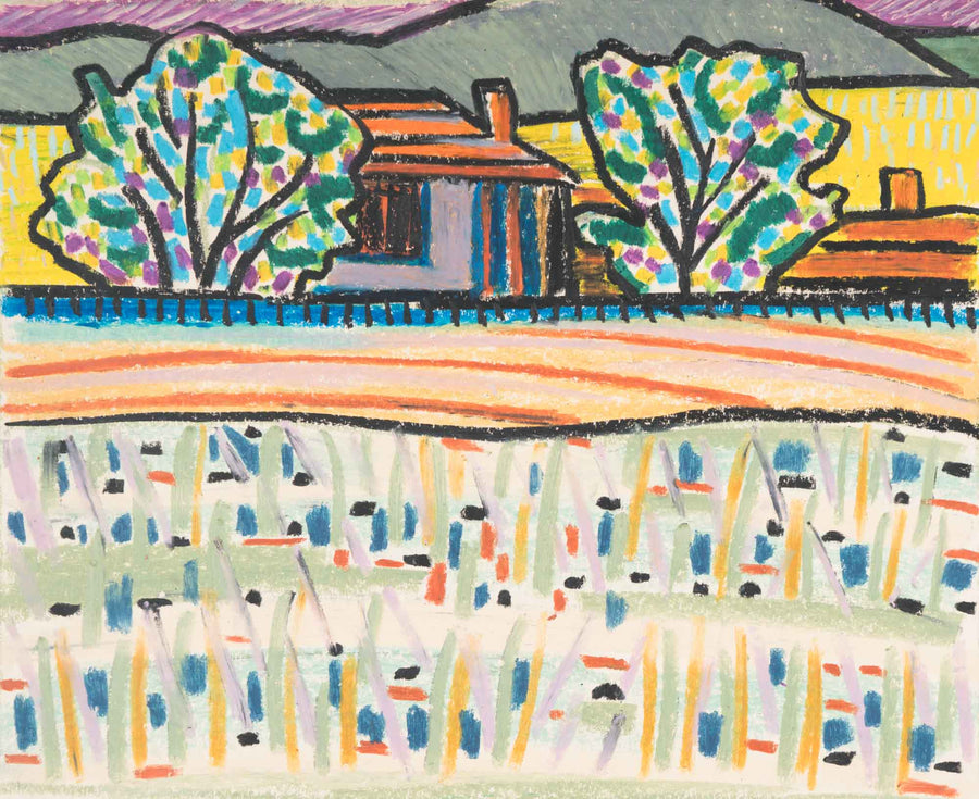 Къща от село Негушево, Драган Немцов