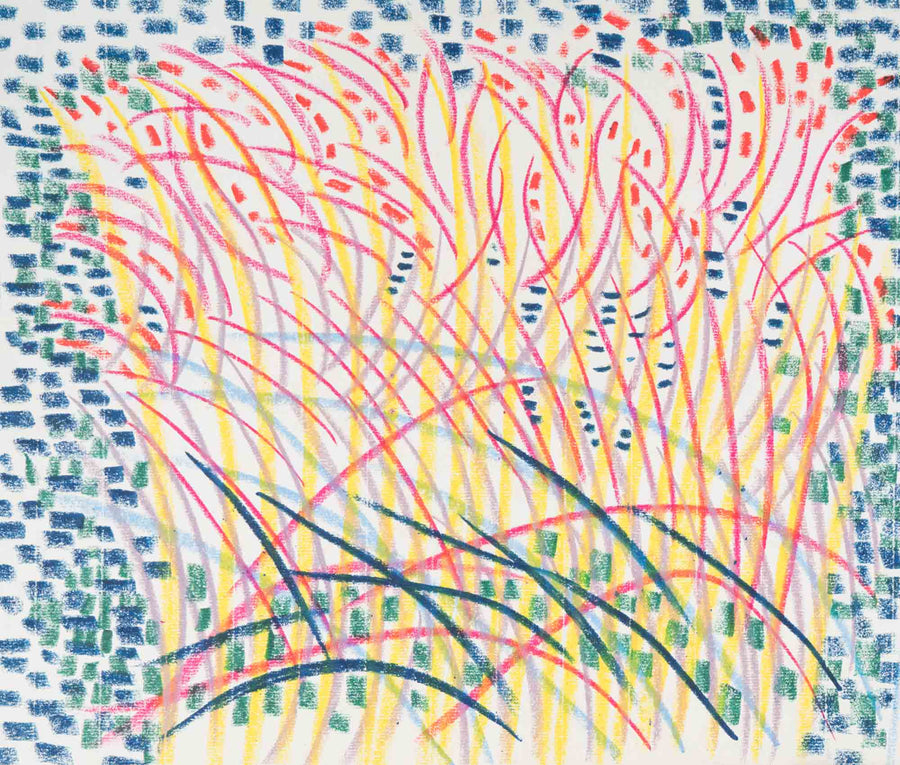 Композиция от линии, Драган Немцов