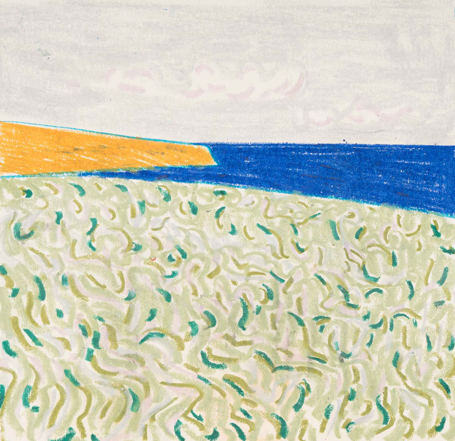 Край Созопол, Драган Немцов