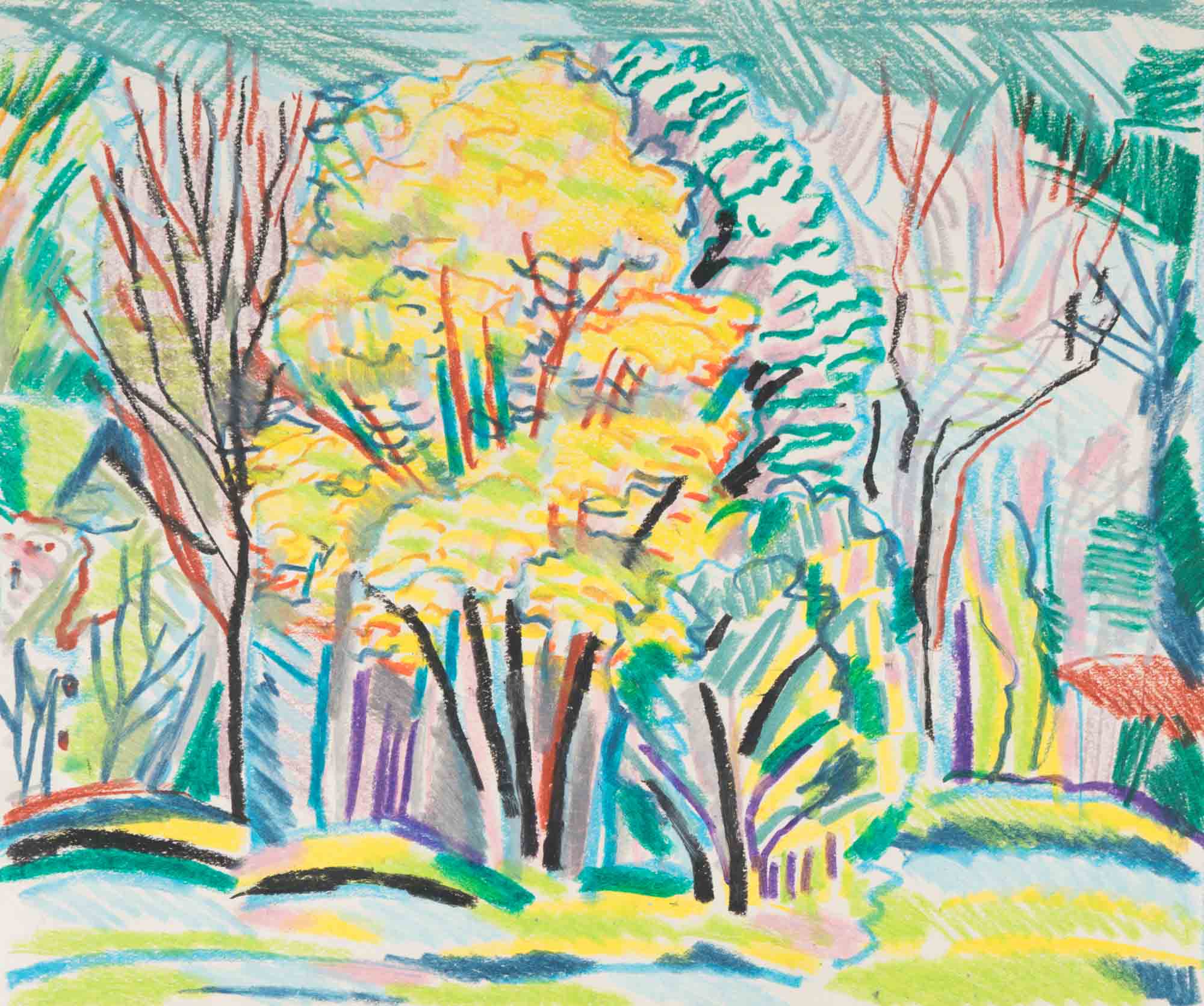 Парк в Монтана, Драган Немцов