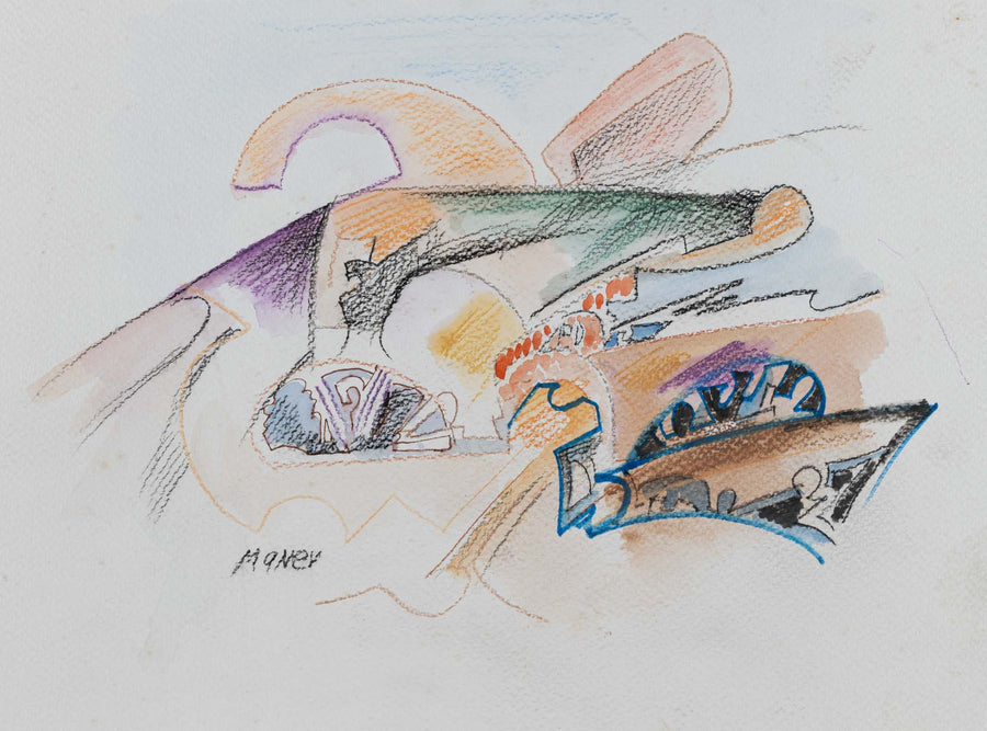 Градът, който не познах, Никола Манев