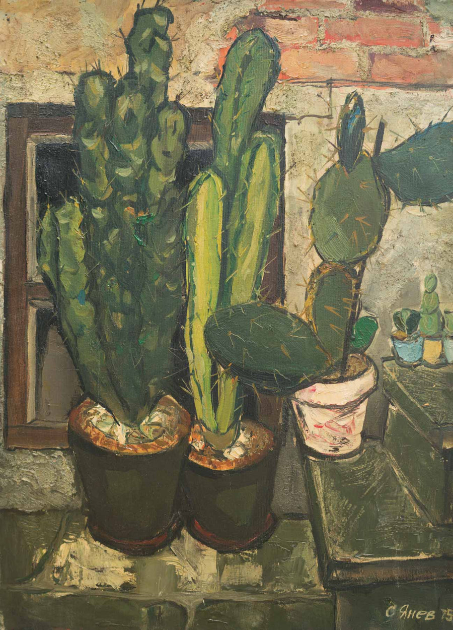 Кактуси, Стефан Янев