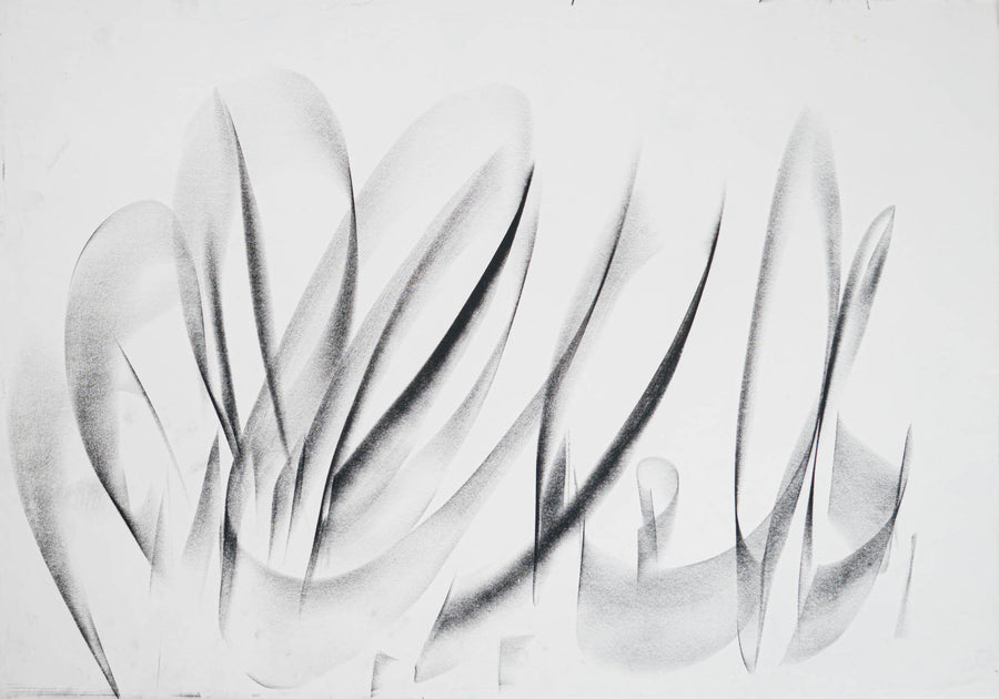 Без заглавие, Васил Иванов