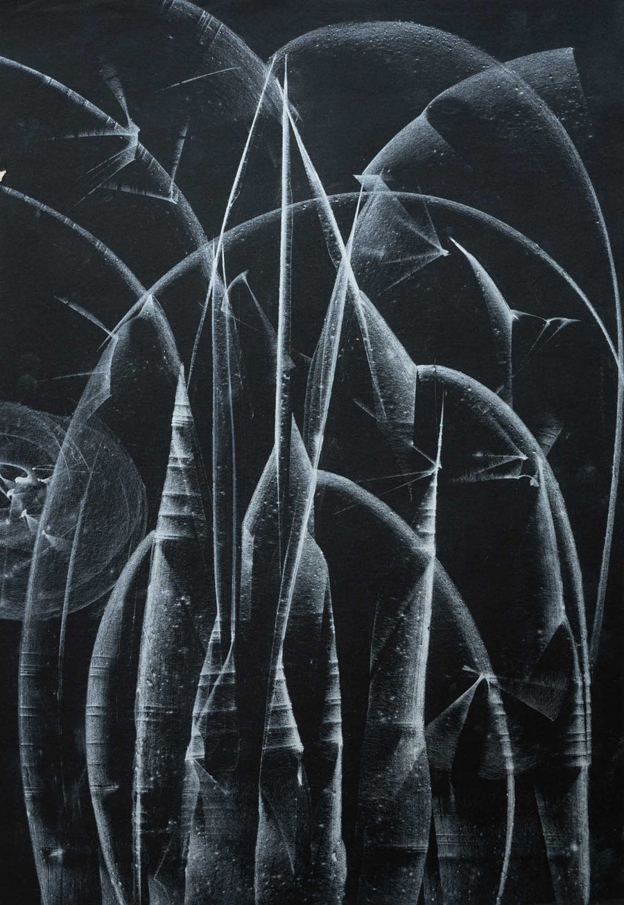 Без заглавие, Васил Иванов