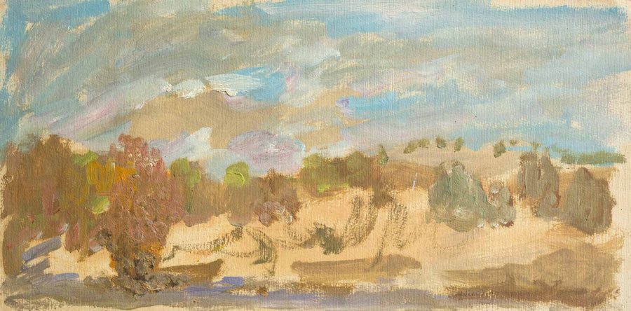 Без заглавие, Васил Иванов