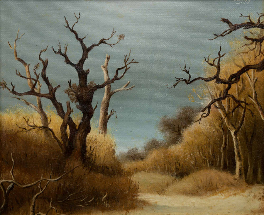 Зимна гора, Володя Кенарев