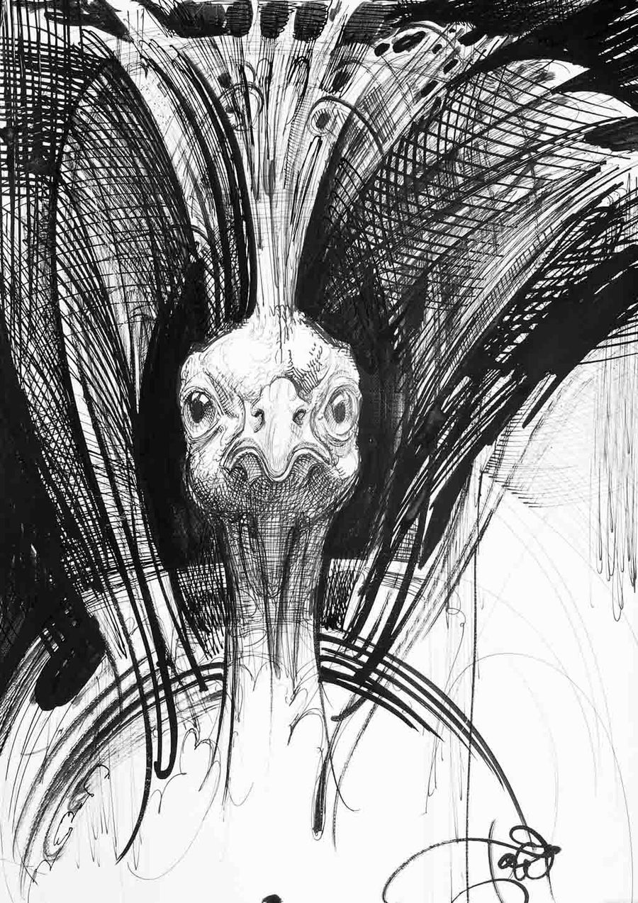 Поглед на птица, Боян Янев