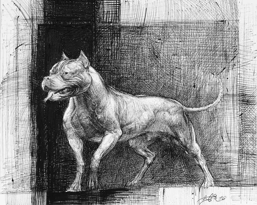 Ъндърграунд, Боян Янев