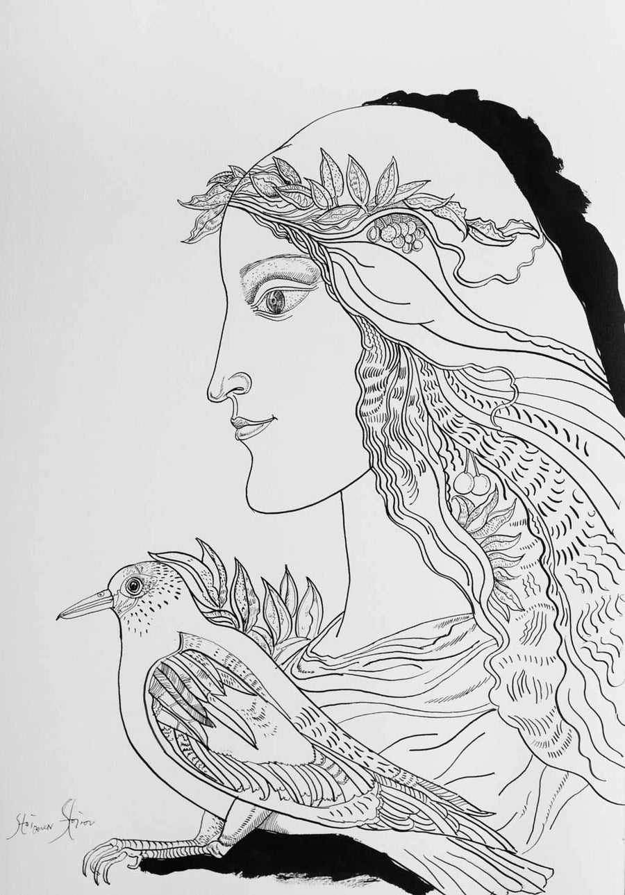 Рисунка от библиофилско издание, Стоимен Стоилов